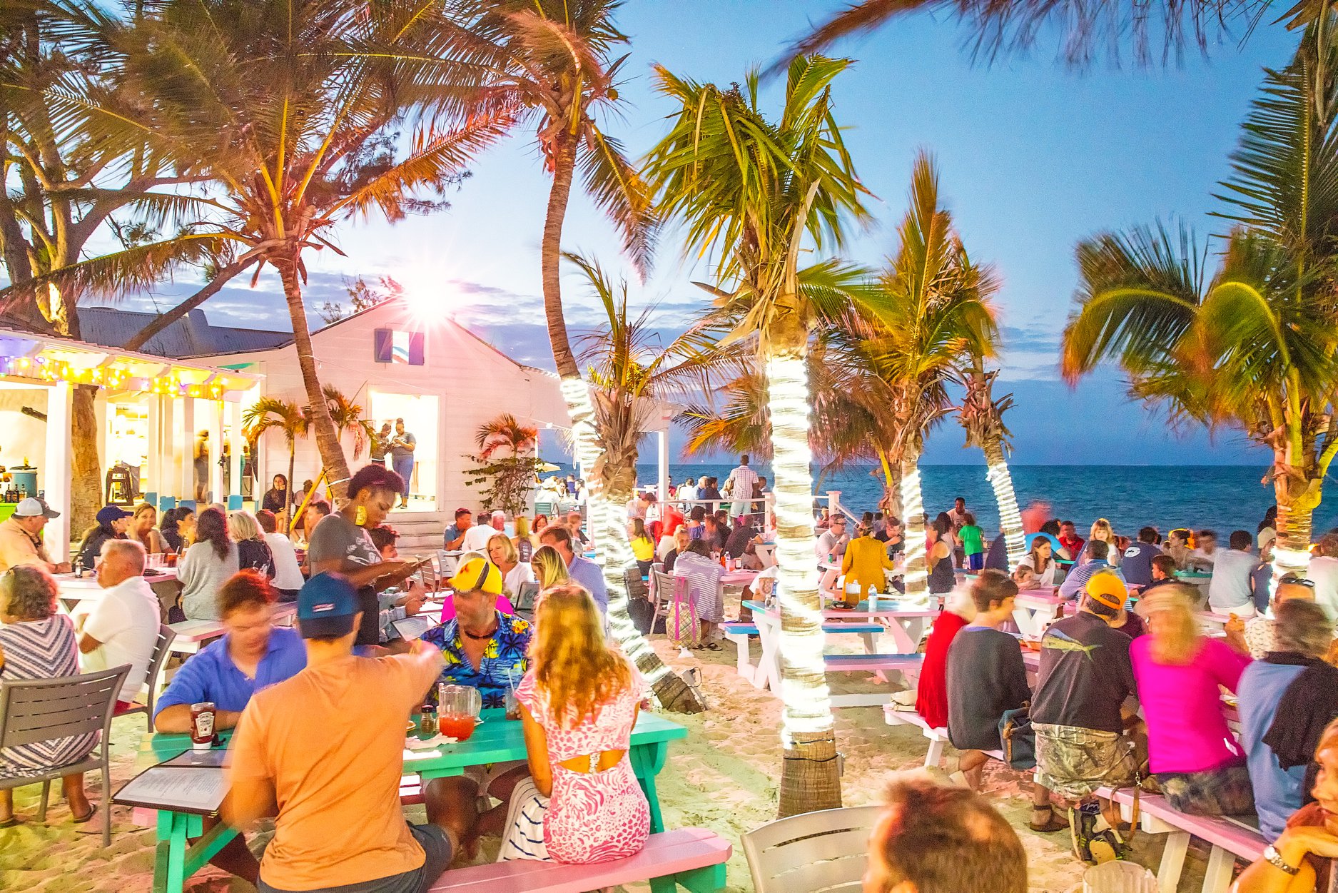 Group of people sitting at tables in the sand amongst ocean views and palm trees with lights wrapped around