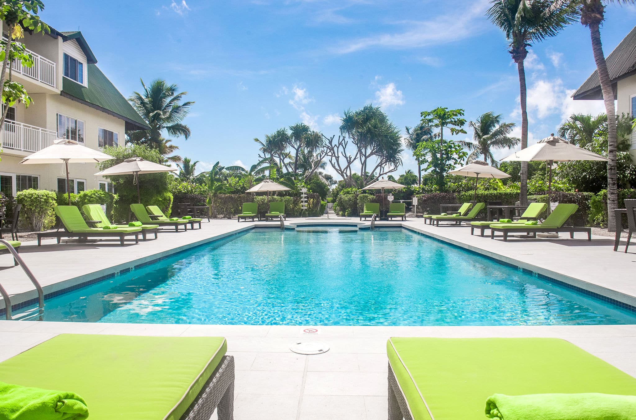 Rectangular pool with apple green chaise lounges overlooking pool deck and palm trees
