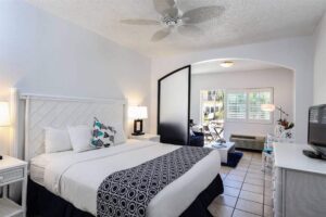 Deluxe Pool View Room King